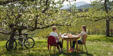 Genuss und Aktivitäten in der Oststeiermark