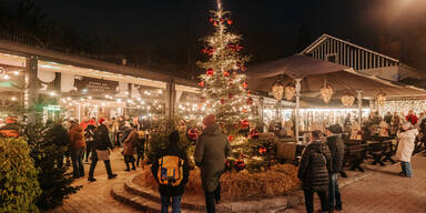 Luftburg im Prater macht Christbaumkauf zum Familienfest