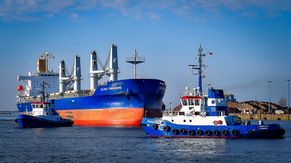 Seltener Gast in Wismar: Wal verirrt sich in deutschem Hafenbecken