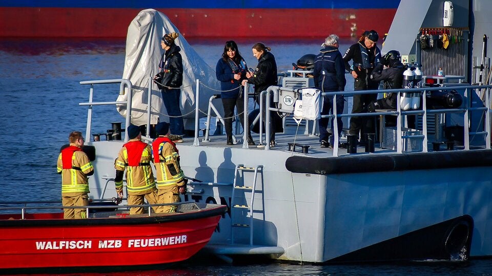 Seltener Gast in Wismar: Wal verirrt sich in deutschem Hafenbecken