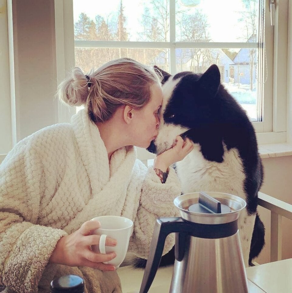 [image] - 4849072.jfif