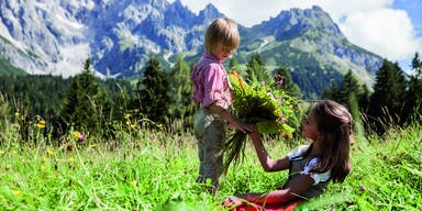 Verspielter Herbst am Hochk&ouml;nig