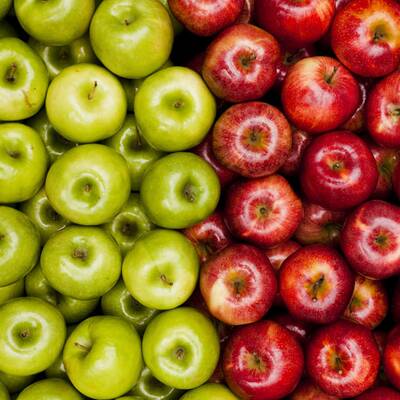 Austern haben einen hohen Anteil von Zink. Zink moduliert das bei Allergien fehlgeleitete Immunsystem.