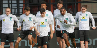 &Ouml;FB-Aufstellung gegen D&auml;nemark