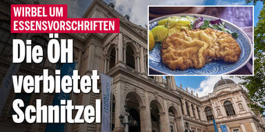 ÖH verbietet Schnitzel
