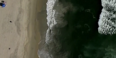 &ouml;lpest kali 2.PNG