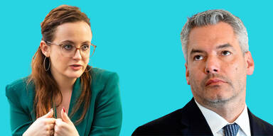 Sachslehner Nehammer