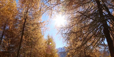 So sonnig wird dieses Wochenende