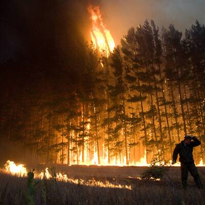 Russland erstickt im Gift-Nebel