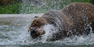 "Restaurantb&auml;r" Felix wagt das erste Bad seines Lebens