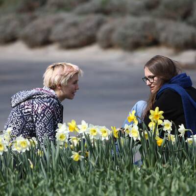 Sonnige Mittagspause