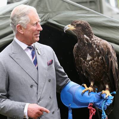 Prinz Charles ist todesmutig