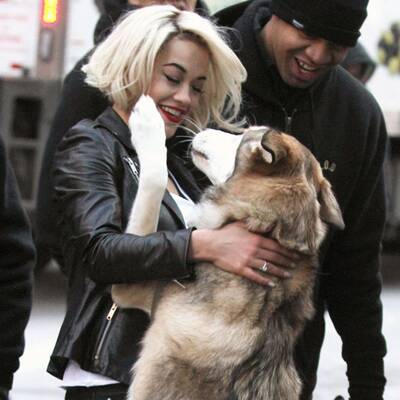 Rita Ora spielt mit Hund