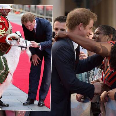 Prinz Harry streichelt Bock und lässt sich umarmen