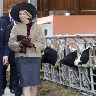 Königin Máxima: Stall-Rundgang in Deutschland