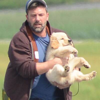 Ben Affleck: Süßes Hündchen nach Ehe-Aus