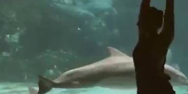 Delphin amüsiert sich über Mädchen
