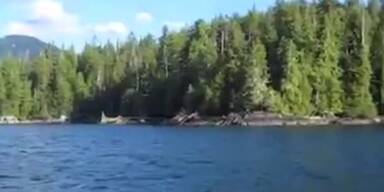 Adler stiehlt Fisch von Anglerboot