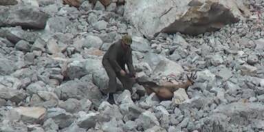 Horror-Video von Tiroler Gamsjagd