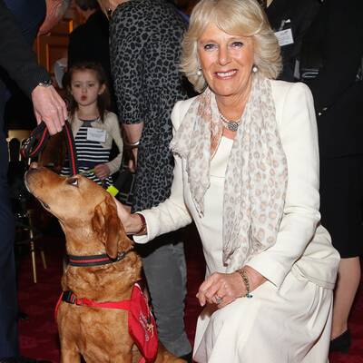 Camilla hat neue Freunde gefunden