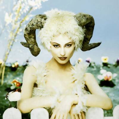 Steinbock 22.12.– 20.1.: In Liebe ist Geduld gefragt