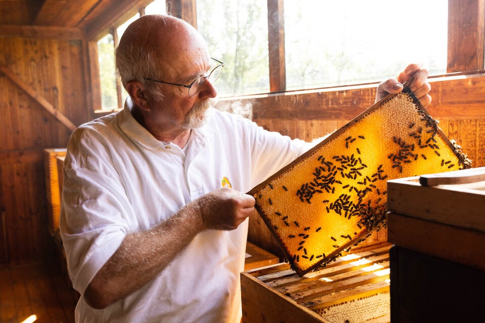 Imker Josef Niklas macht sich Sorgen um die Bienen.