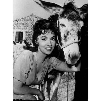 Gina Lollobrigida: Ihre schönsten Bilder