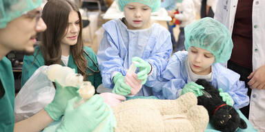 Teddyb&auml;r-Krankenhaus: Hunderte Kuscheltiere landen am OP-Tisch