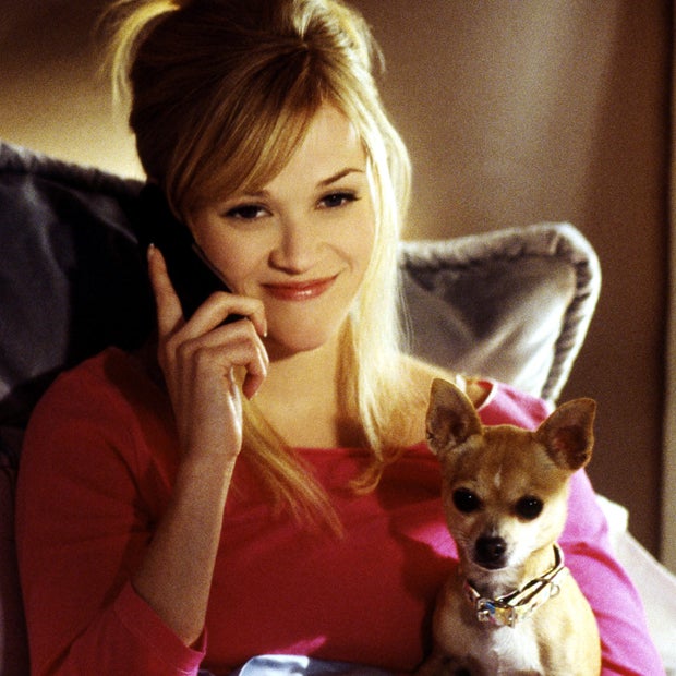 Reese Witherspoon und Hund Moonie in 