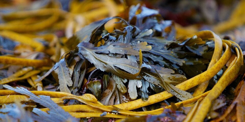 Kennen Sie die Aran Islands?