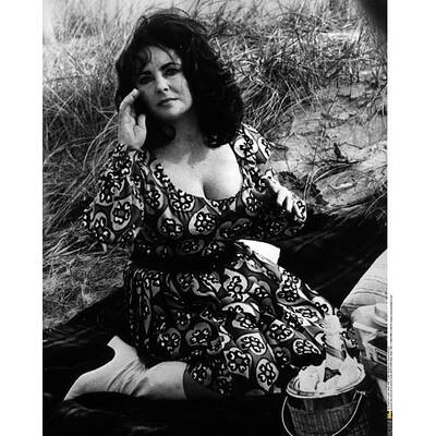 Elizabeth Taylor: Ihr Leben in Bildern