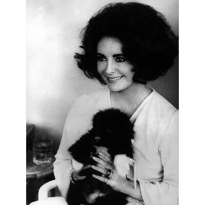 Elizabeth Taylor: Ihr Leben in Bildern