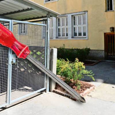 Der große oe24-Jahresrückblick 