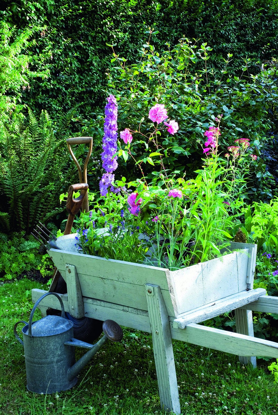 Gartenbewässerung: Tipps für die Sommerzeit