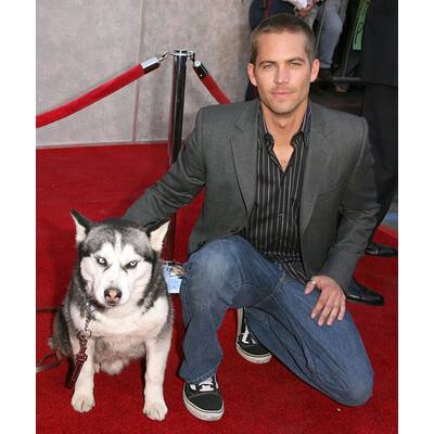 Trauer um Hollywood-Star Paul Walker
