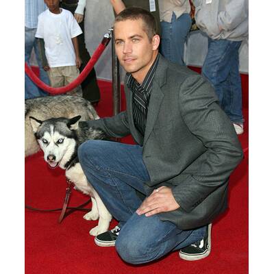 Trauer um Hollywood-Star Paul Walker