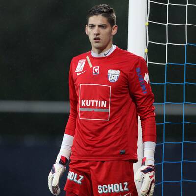 Krankls Team der Saison 2014/15