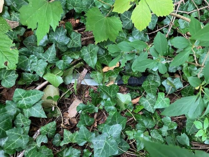 Mordversuch an Erntehelfer in der Oststeiermark