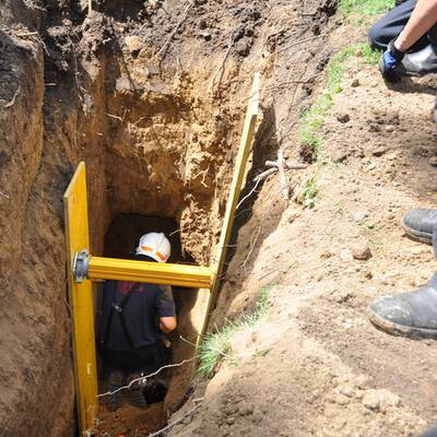 Feuerwehr rettet Chihuahua aus Erdloch