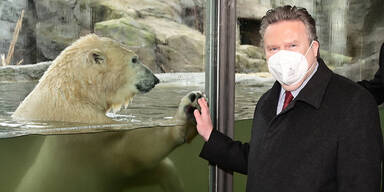 B&auml;riges "High Five" von Finja f&uuml;r B&uuml;rgermeister Ludwig