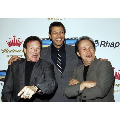 Robin Williams (1951 - 2014)