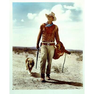 Die beliebtesten US-Schauspieler