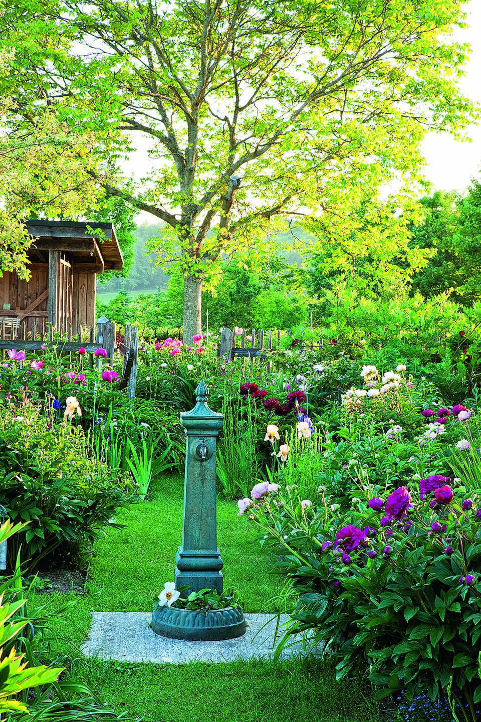 Gartenbewässerung: Tipps für die Sommerzeit