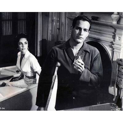 Elizabeth Taylor: Ihr Leben in Bildern