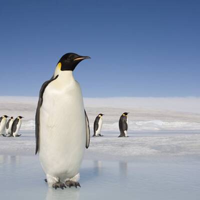 7 magische Orte, die bald nicht mehr existieren