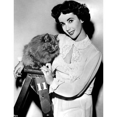 Elizabeth Taylor: Ihr Leben in Bildern