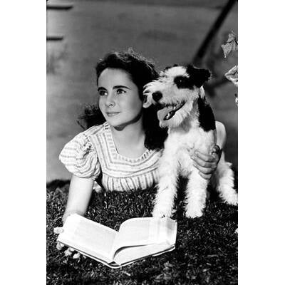 Elizabeth Taylor: Ihr Leben in Bildern