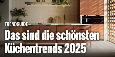 Anzeige xxxlutz 0222 oe24