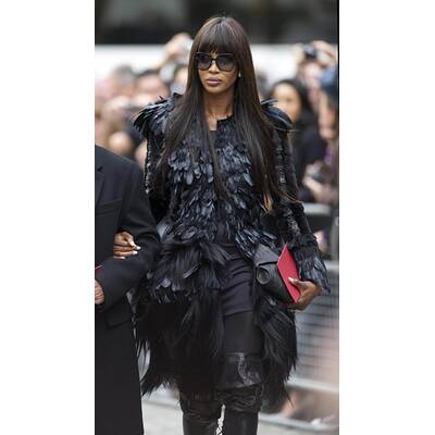 Stars haben einen Vogel