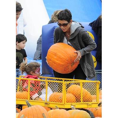 Kürbisse für Klein und Groß in Hollywood
